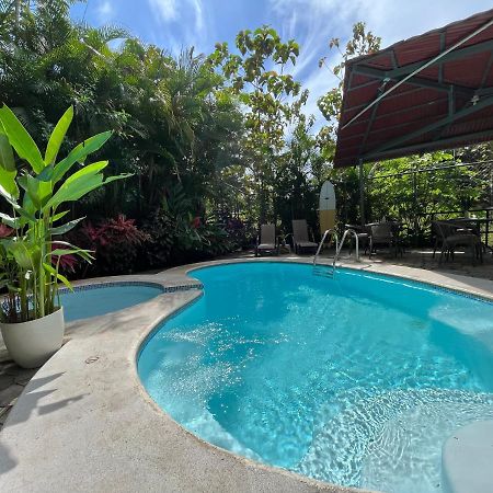Bed and Breakfast La Jungla Puerto Carrillo Esterno foto